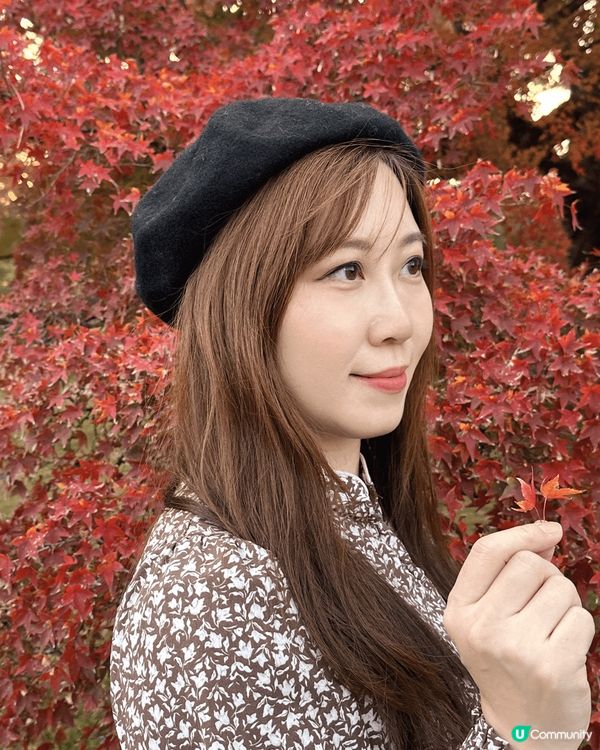 到京都欣賞紅葉，風景非常美麗