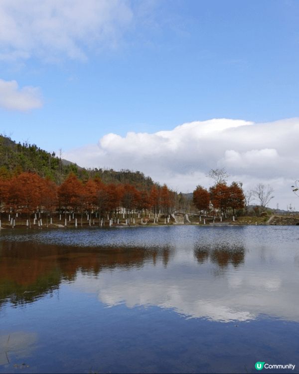 嶺南紅葉世界景色優美，天空之鏡和天梯都是打卡好地方。入住獨立...