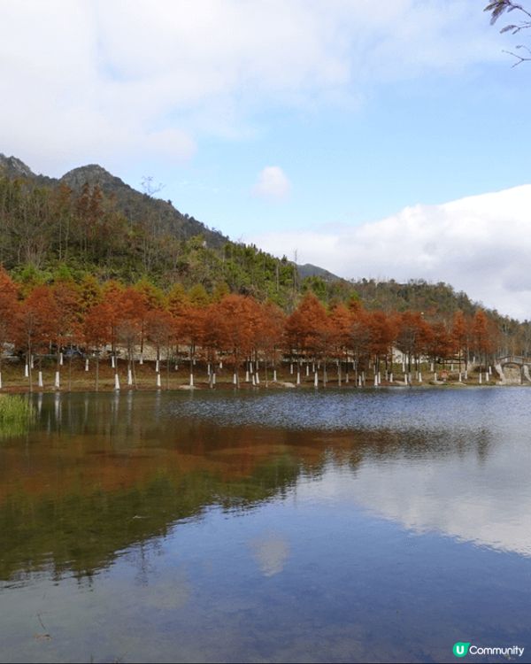 嶺南紅葉世界景色優美，天空之鏡和天梯都是打卡好地方。入住獨立...