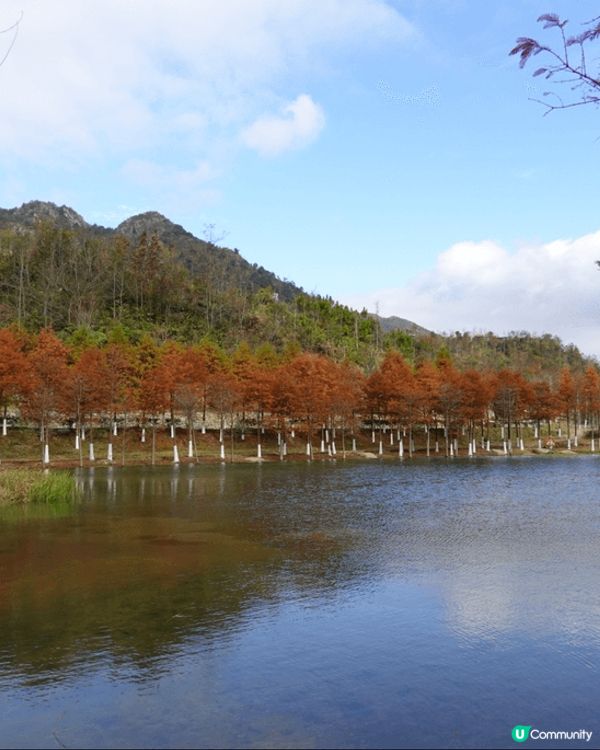 嶺南紅葉世界景色優美，天空之鏡和天梯都是打卡好地方。入住獨立...