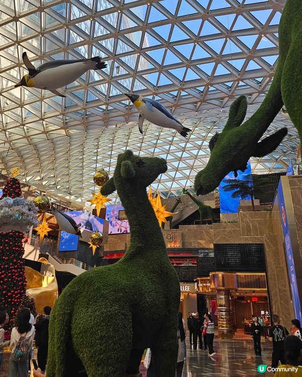 ## 澳門美高梅🎄聖誕打卡位📸