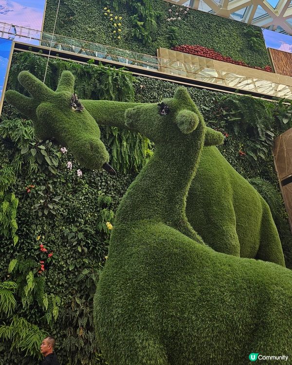 ## 澳門美高梅🎄聖誕打卡位📸