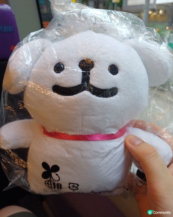 灣仔藍屋打卡📸  香港一級歷史建築 💙