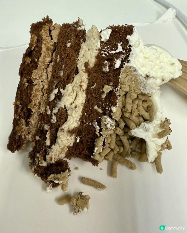 🌰🌰《超濃厚!鮮磨板栗蛋糕》🌰🌰