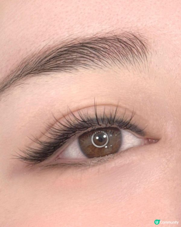 香港銅鑼灣植眼睫毛推介|種日式單根超輕BB睫毛