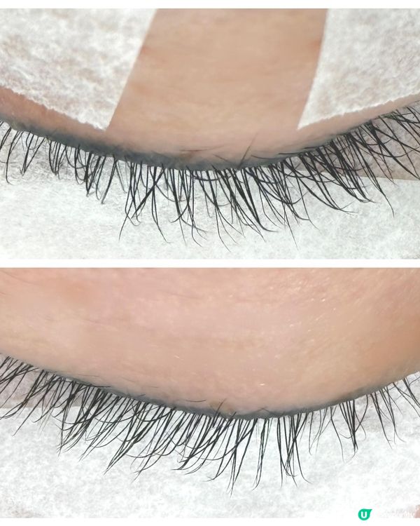 香港銅鑼灣植眼睫毛推介|種日式單根超輕BB睫毛