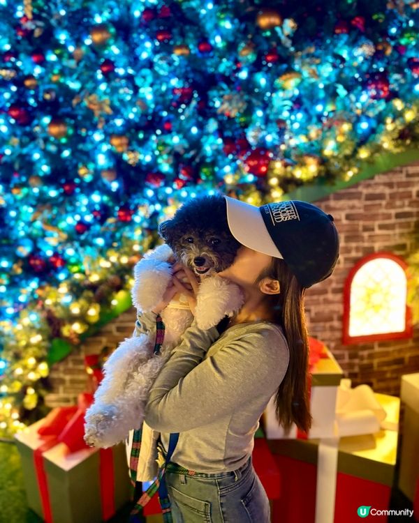 西九龍文化中心六層樓高聖誕樹打卡熱點