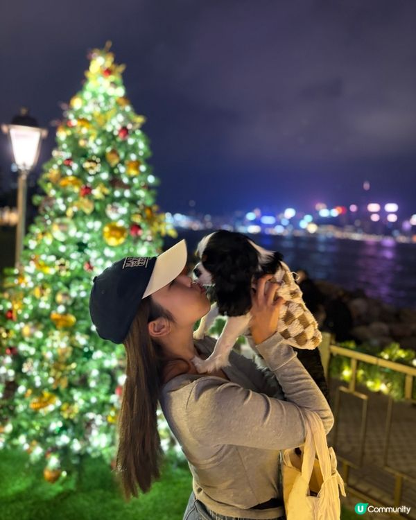 西九龍文化中心六層樓高聖誕樹打卡熱點