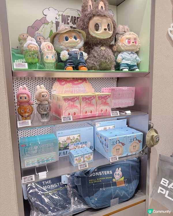 返大陸尋找Labubu蹤影