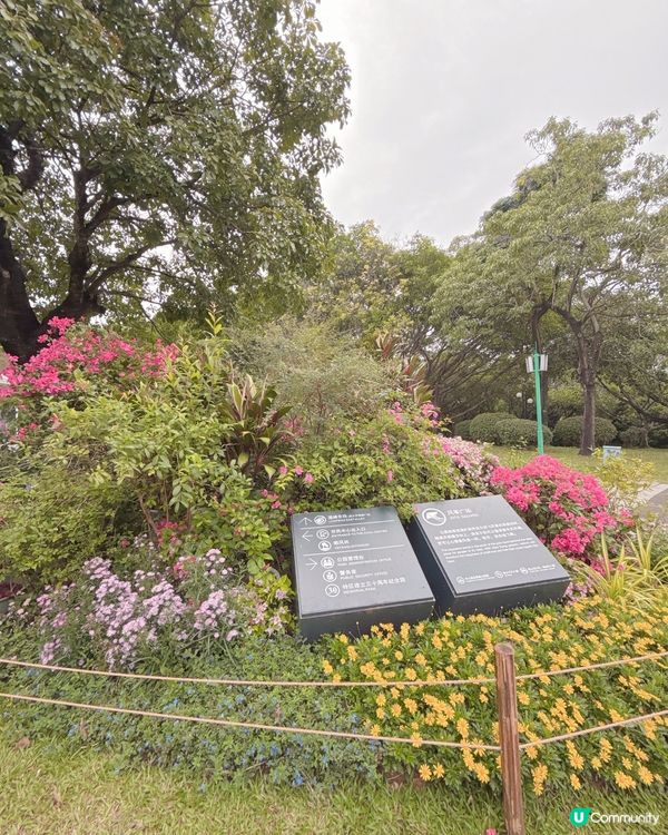 蓮花山公園打卡