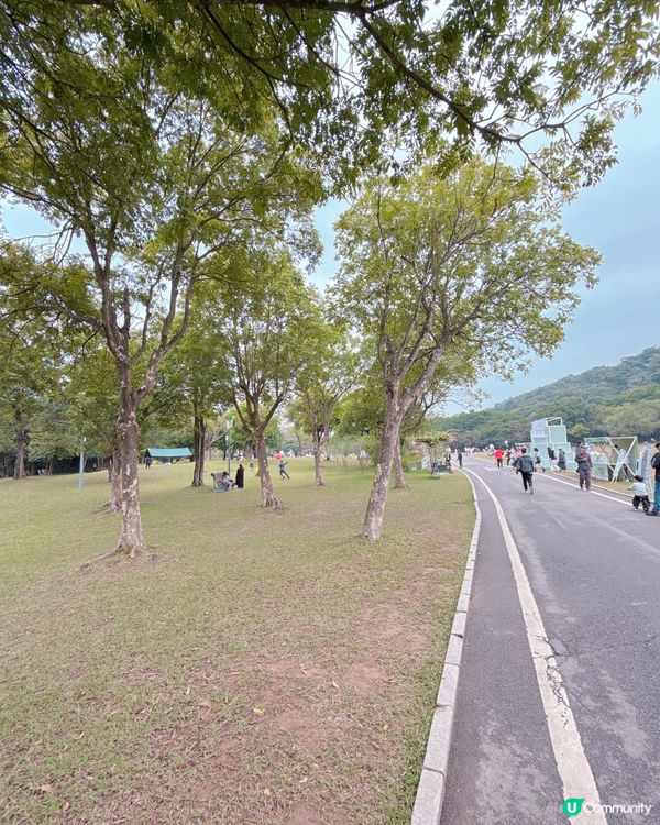 蓮花山公園打卡