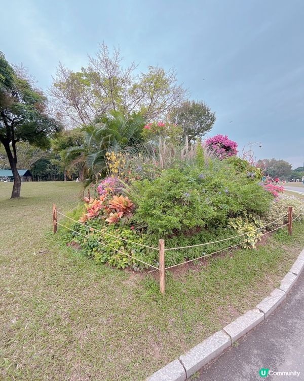 蓮花山公園打卡