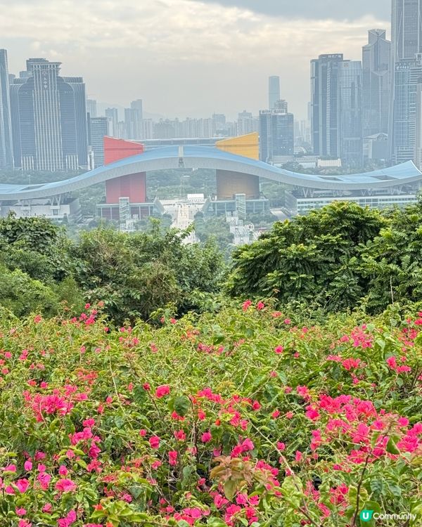 蓮花山公園打卡