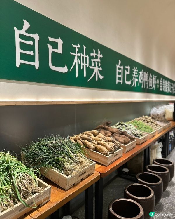 老灶台蝦一跳🌶️ 食到停唔到口！🤤