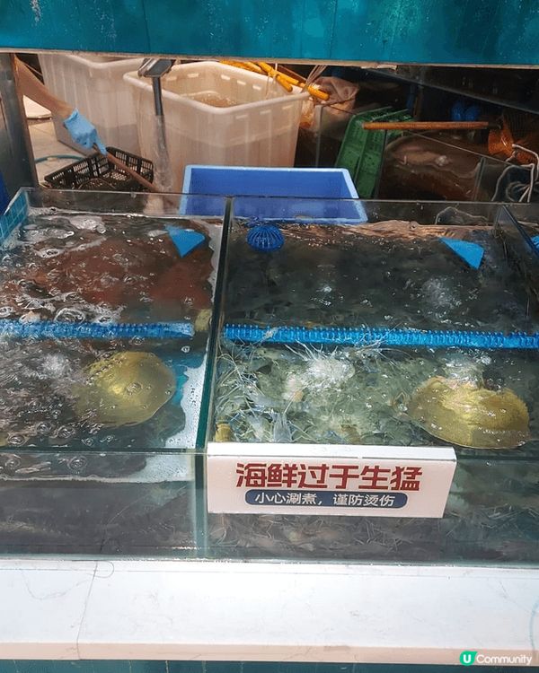 較早前同同事一齊返咗深圳嘅曼格食海鮮，當日嘅蝦同大閘蟹都非常...