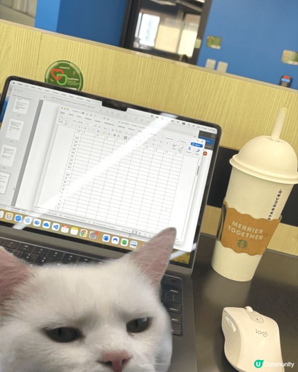 【星巴克飲乜好】必試手沖咖啡 ☕️ 最貴嘅連鎖咖啡店究竟抵唔...