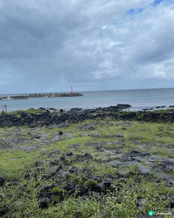 濟洲的london bagel museum, 離市中心約4...