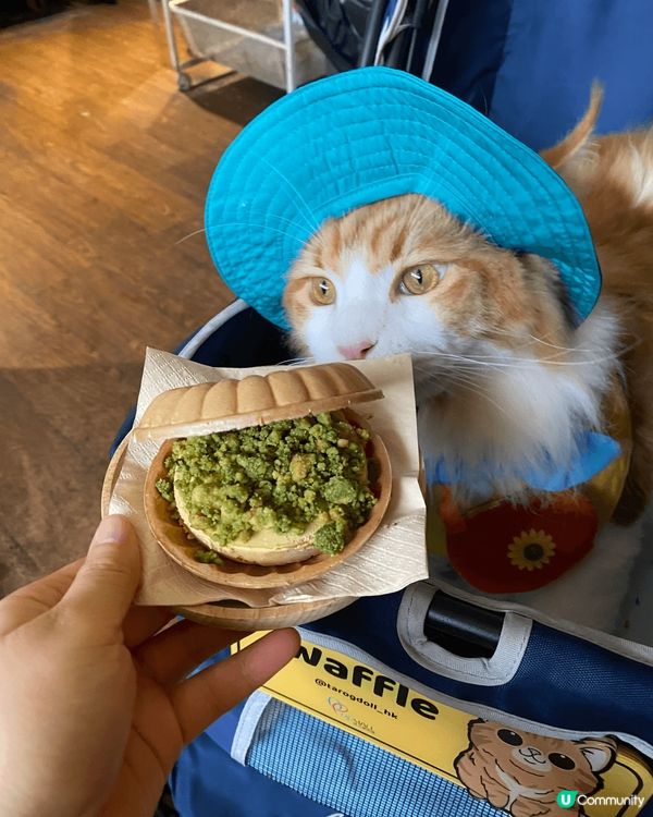 放假當然要帶埋小朋友去cafe 推介 90lazy 佢地嘅意...