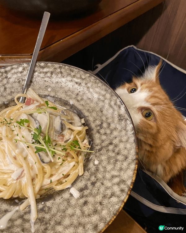 放假當然要帶埋小朋友去cafe 推介 90lazy 佢地嘅意...