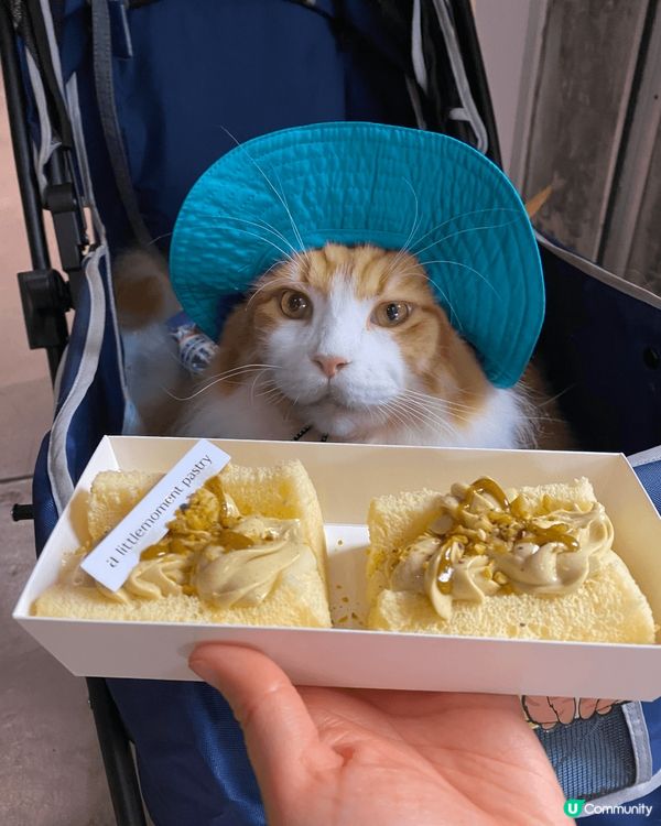 放假當然要帶埋小朋友去cafe 推介 90lazy 佢地嘅意...