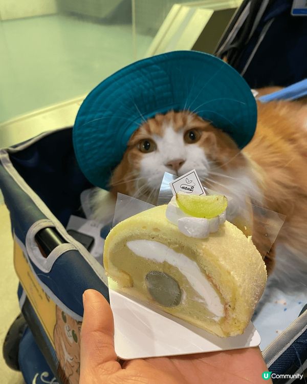 放假當然要帶埋小朋友去cafe 推介 90lazy 佢地嘅意...