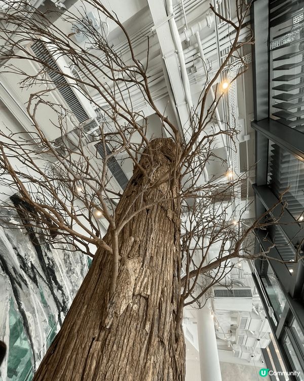 推介啟德的root cafe! 