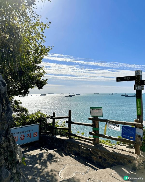 釜山白淺灘文化村，沿路好多cafe，打卡位，小店😍好岩慢活～...