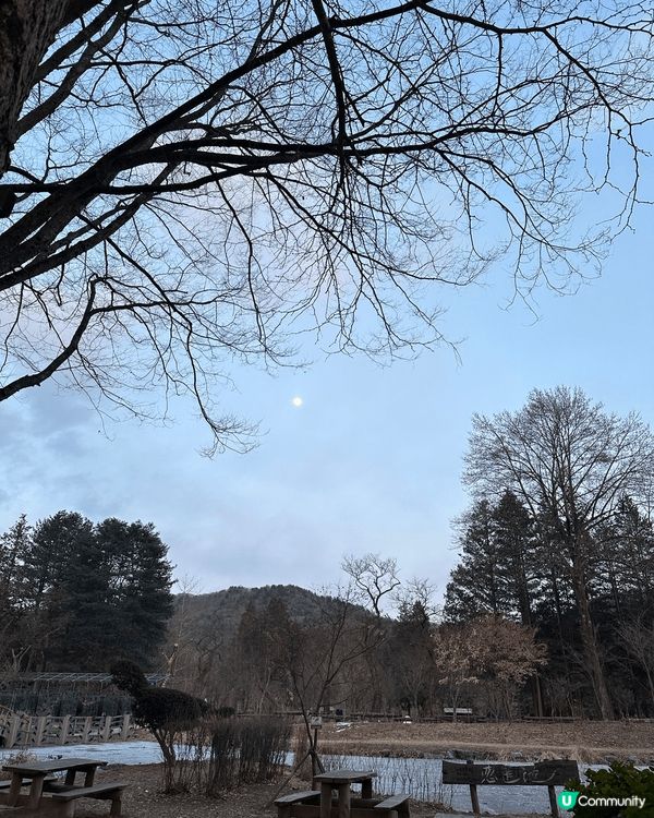 家人旅行冬天去韓國天氣很好.可惜未能看見下雪的影像.所以去了...