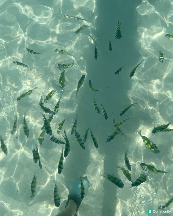 呢個係泰國布吉之旅，真係泰relax泰舒服！有靚靚海灘睇到好...