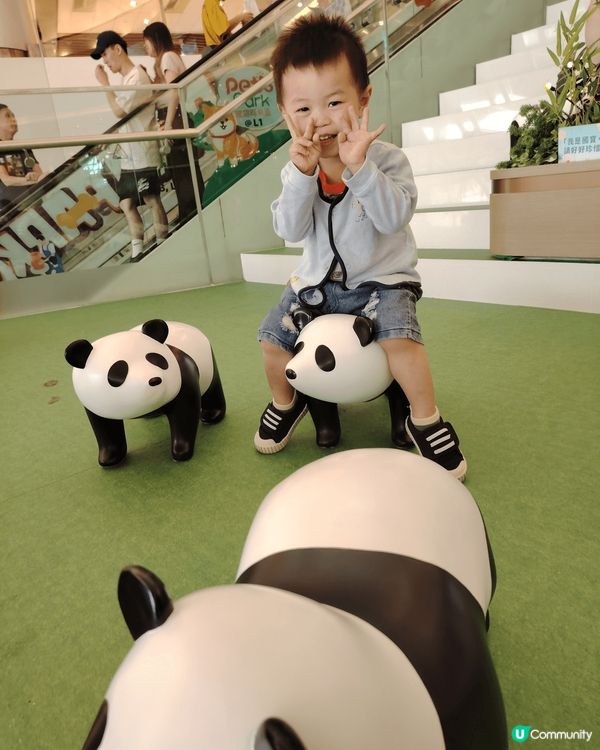 經常與兒子去不同地方玩耍及拍照，當中有多啦a夢展覽/中環摩天...
