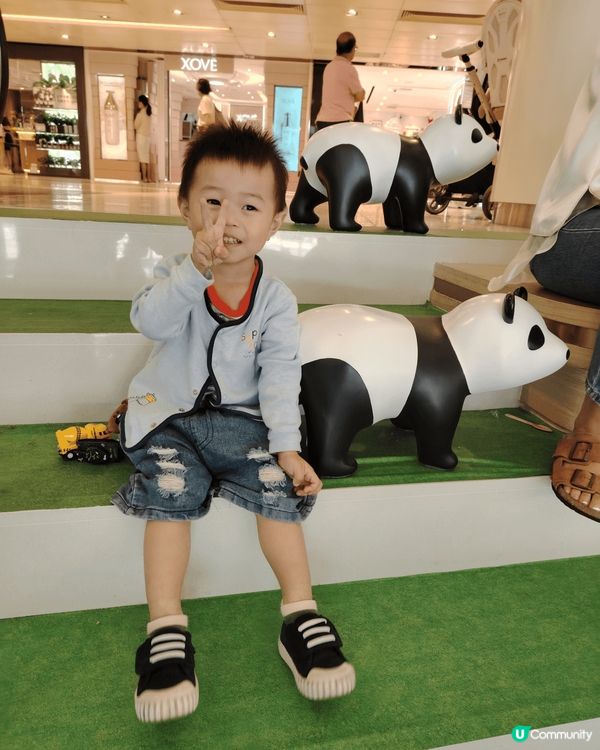 經常與兒子去不同地方玩耍及拍照，當中有多啦a夢展覽/中環摩天...