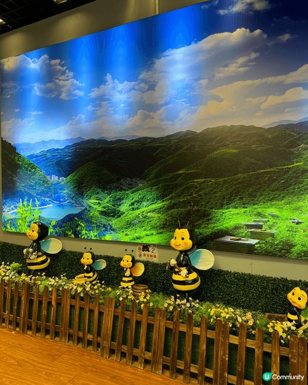 江門 經深中通道 30 分鐘， 到江門三十三墟街， 過百年歷...