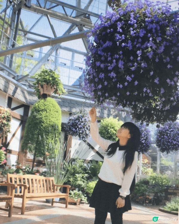 神戶布引香草園影相打卡超靚，乘搭纜車盡覽神戶美景，去到最頂慢...