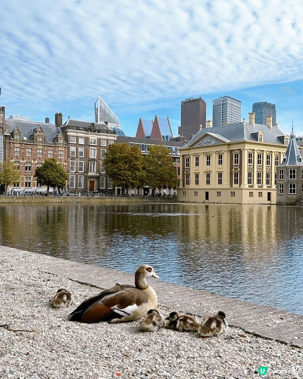 圖片攝於海牙，從阿姆斯特丹前往，只需1小時的車程，非常適合一...