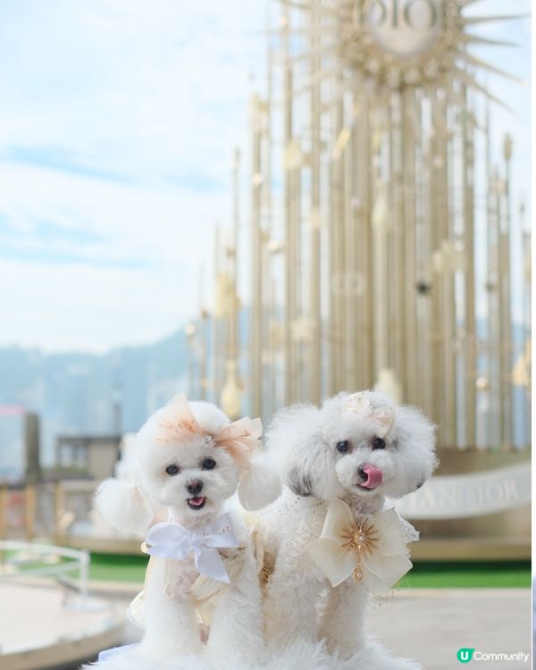 尖沙咀海旁 K11Musea Dior 聖誕裝飾