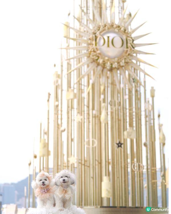 尖沙咀海旁 K11Musea Dior 聖誕裝飾