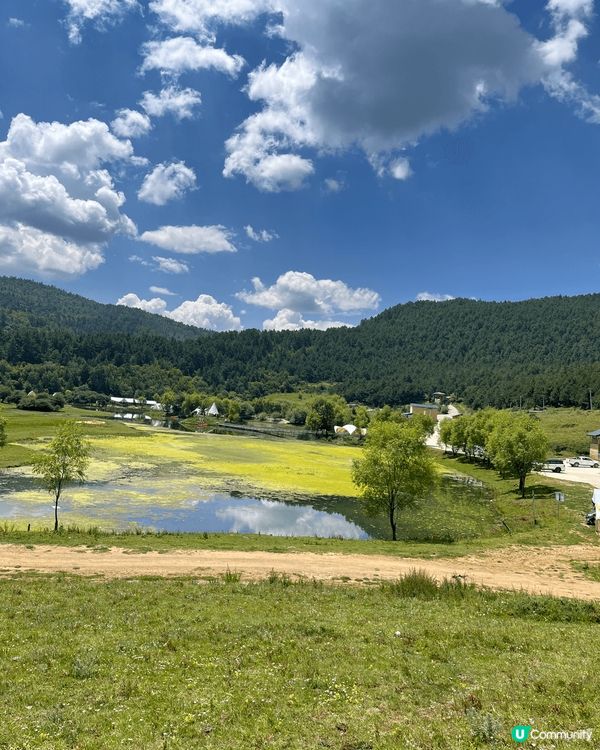 圖中是雲南香格里拉的景點，當地雖然海拔很高 三千多米，但是有...