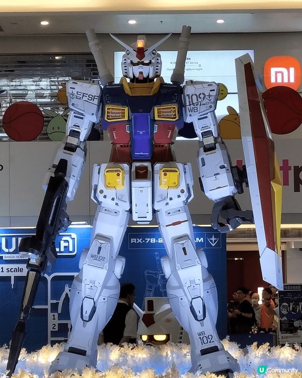 屯門市廣場有新打卡點，澳門的魚翅好好味