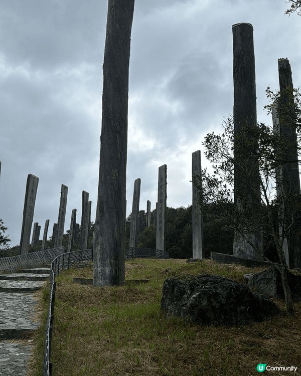 迪士尼和青遠靚景