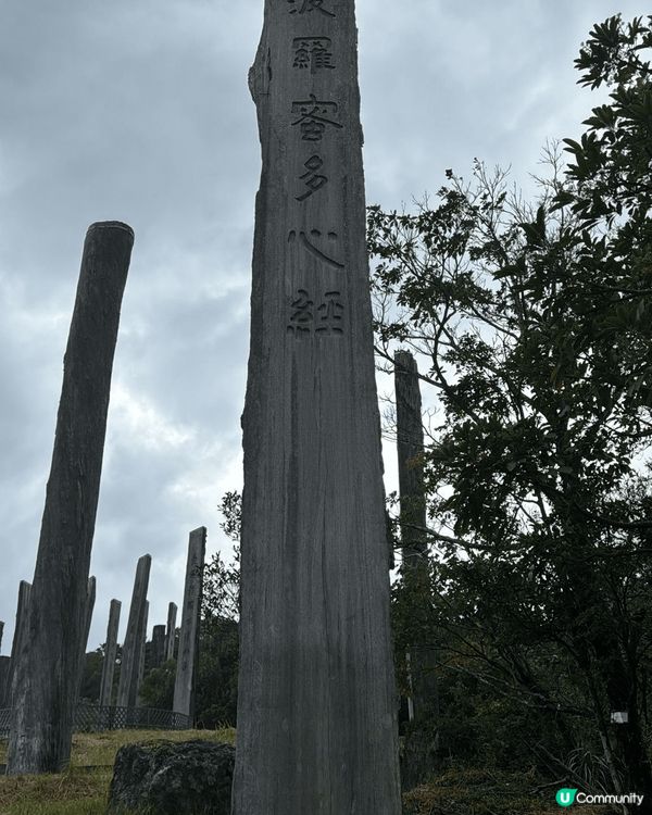 迪士尼和青遠靚景