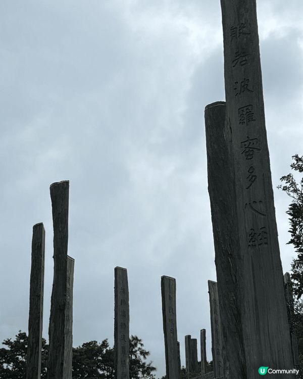 迪士尼和青遠靚景