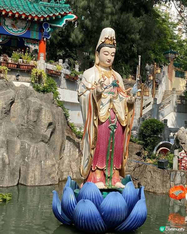 第一次去從心苑，入面環境清幽恬靜，隔離黃大仙祠真係兩個極端😃...