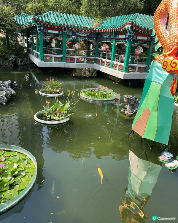 第一次去從心苑，入面環境清幽恬靜，隔離黃大仙祠真係兩個極端😃...