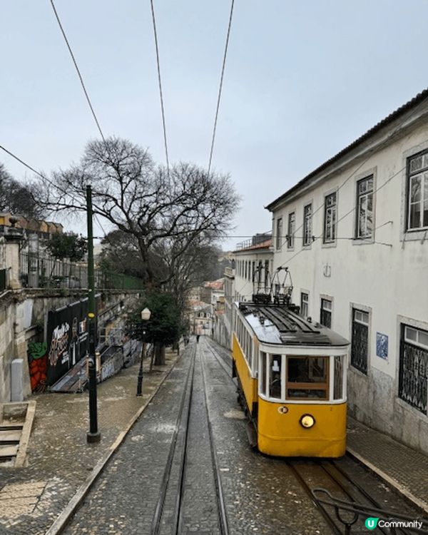 葡萄牙的阿爾法瑪區「28號電車」，實在是經典中的經典，黃色搶...