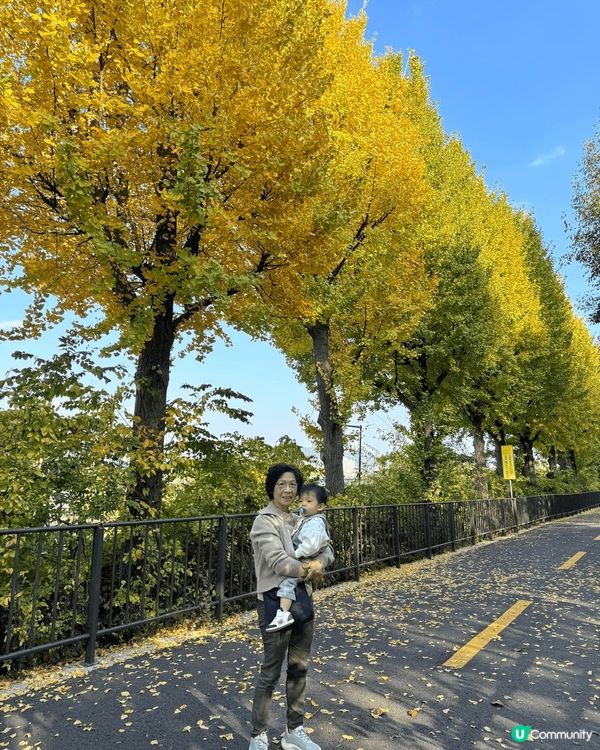 診此深秋季節，到韓國赏紅葉，实在一樂也，到處散發秋天氣色，賞...