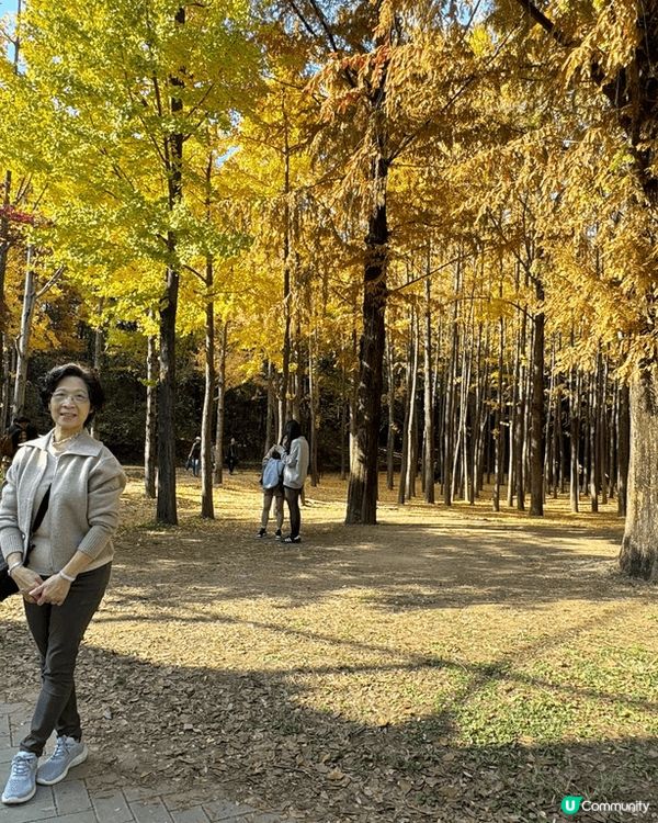 診此深秋季節，到韓國赏紅葉，实在一樂也，到處散發秋天氣色，賞...