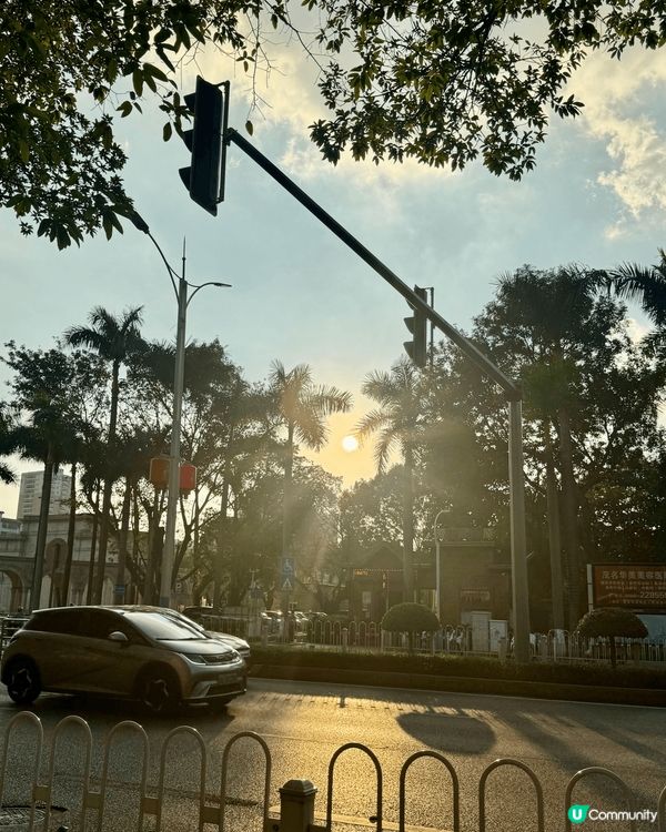 廣東省茂名市city walk 👣👣👣