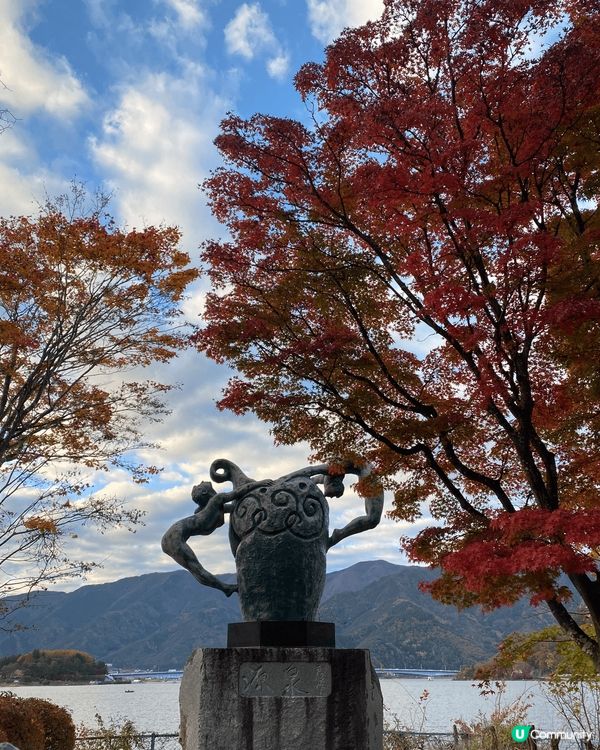 富士山河口湖紅葉 - 漫步欣賞湖光山色，紅葉銀杏葉遍地。