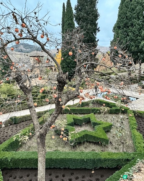 嚟到年尾啦，想感受聖誕氣氛，所以去咗歐洲聖誕旅行，快啲睇吓啲...