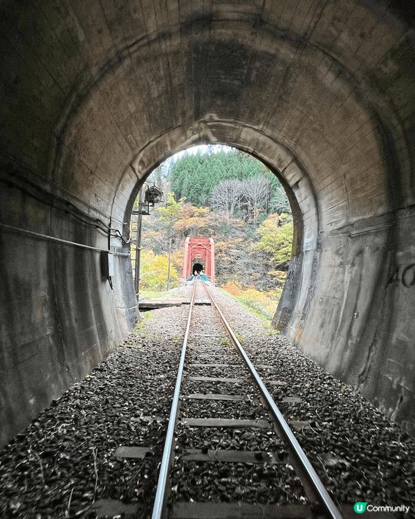 日本中部之旅，除了觀想到紅葉，在新高穗竟然看到樹冰，在2.2...